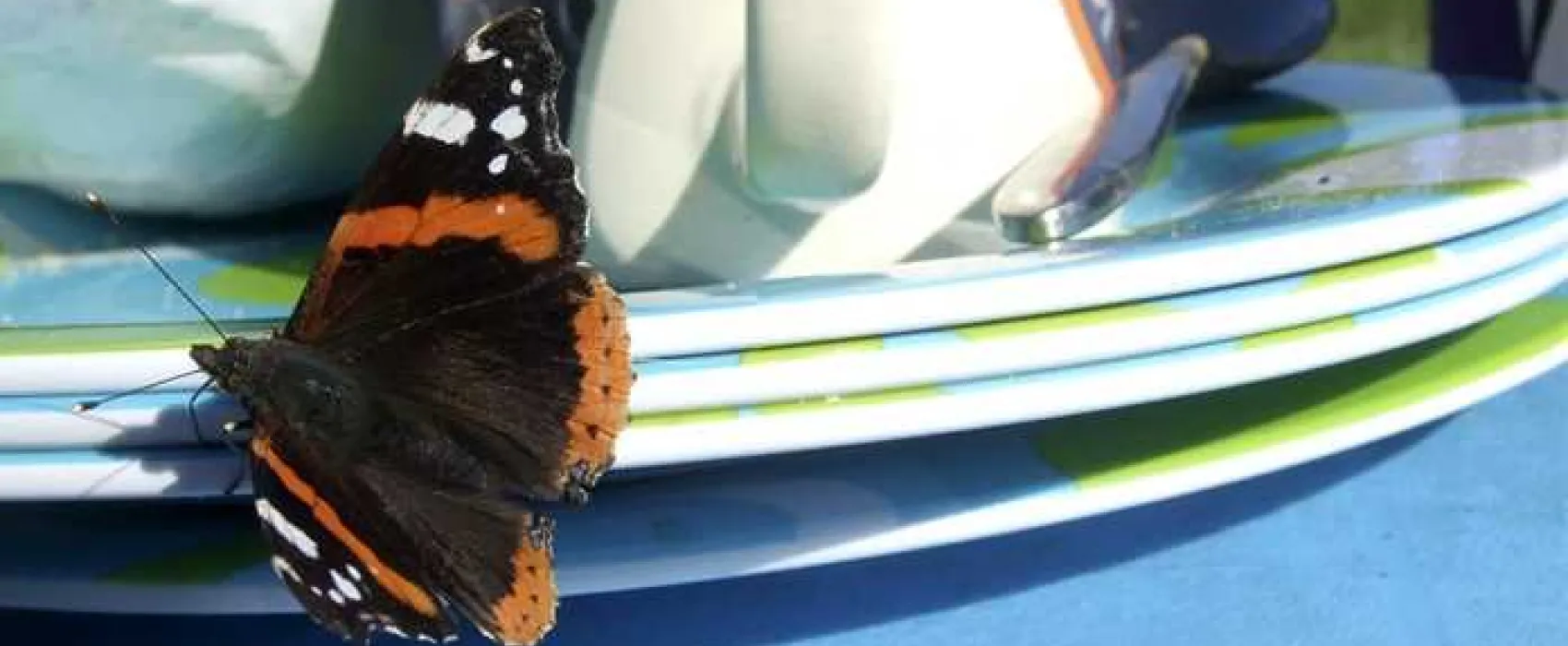 Tower Park Caravans and Camping