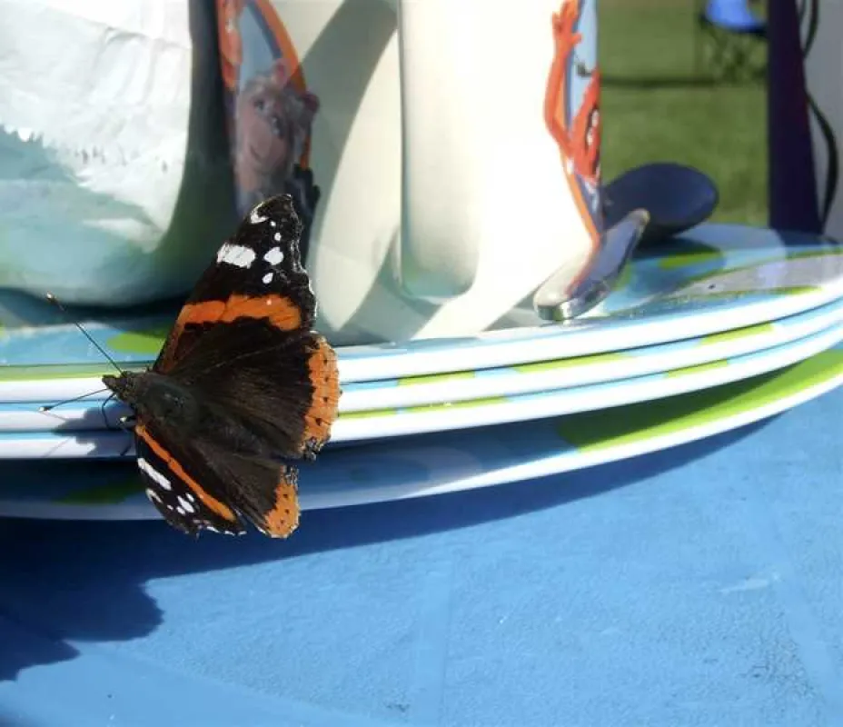 Tower Park Caravans and Camping