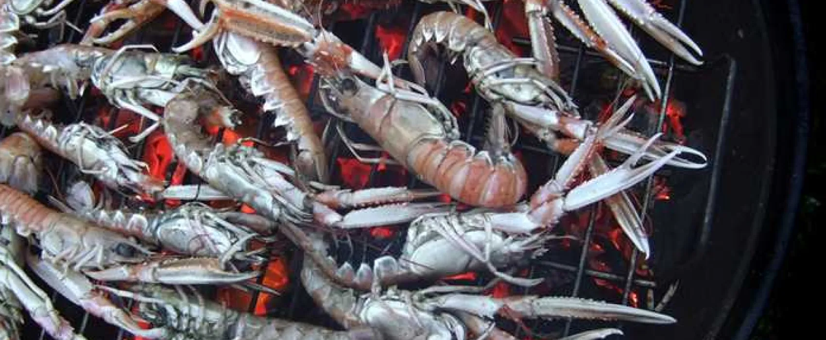 Tower Park Caravans and Camping