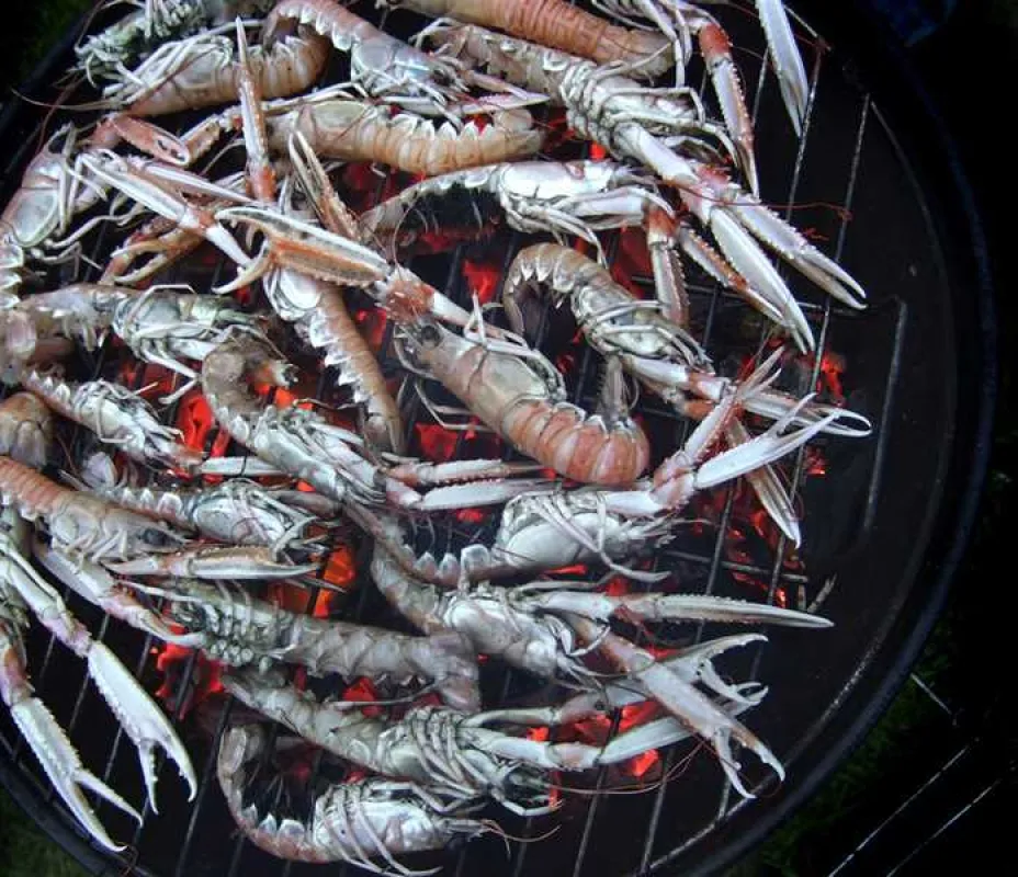 Tower Park Caravans and Camping