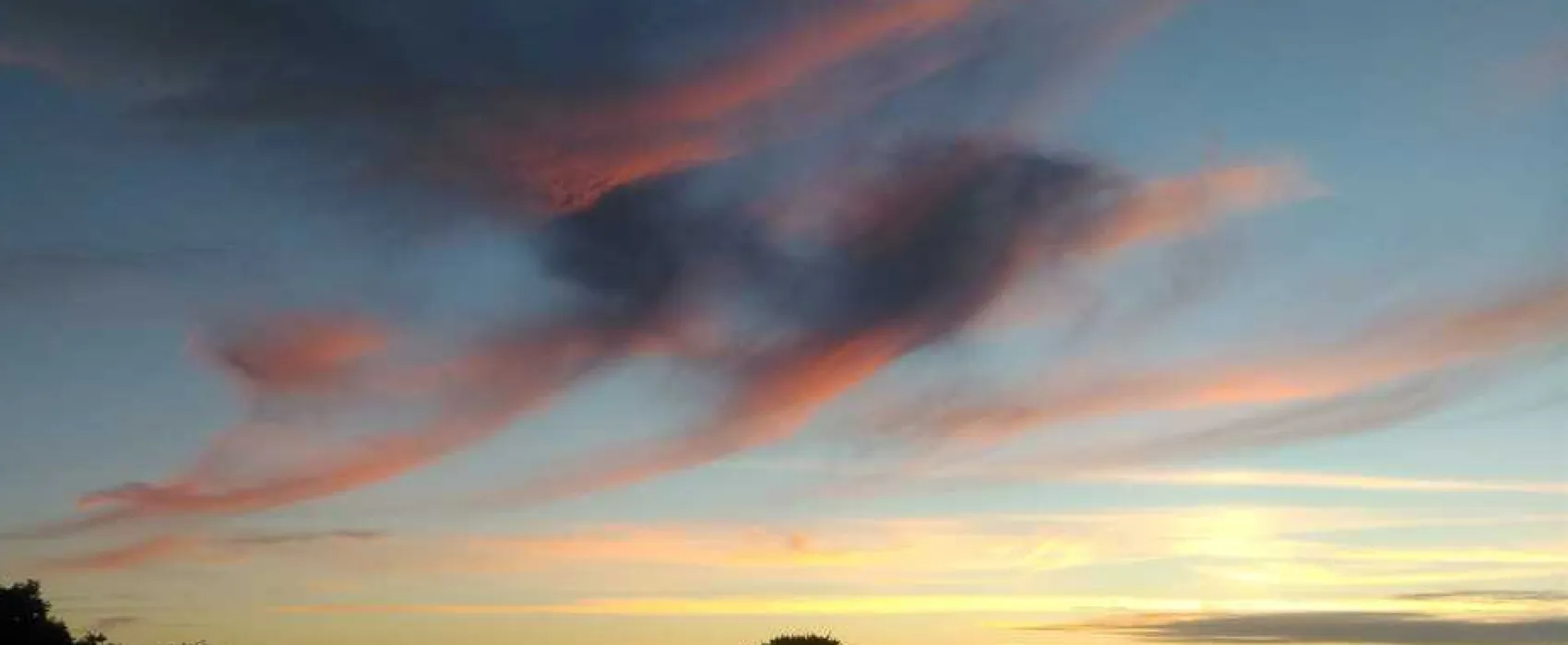 Tower Park Caravans and Camping