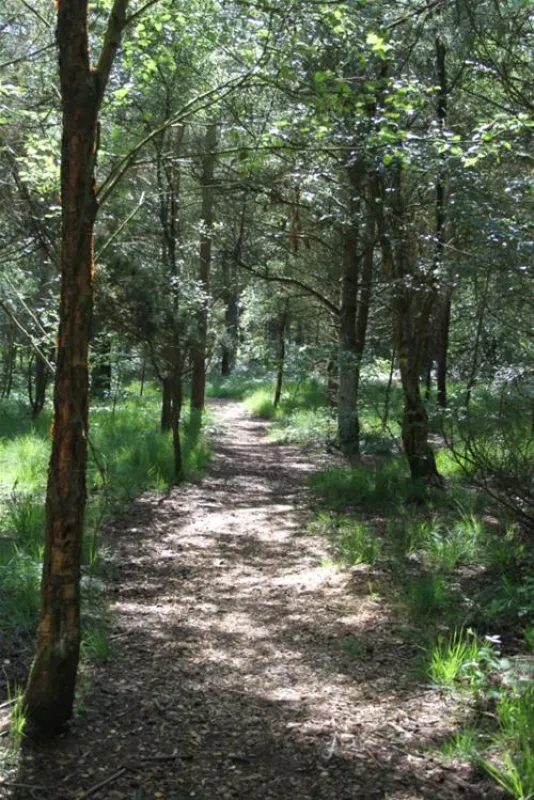 Ladycross Plantation Caravan Park