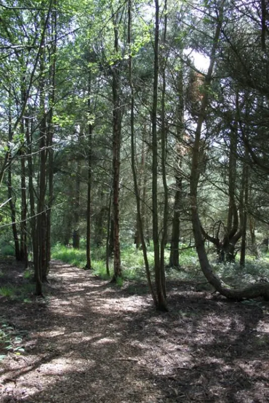 Ladycross Plantation Caravan Park