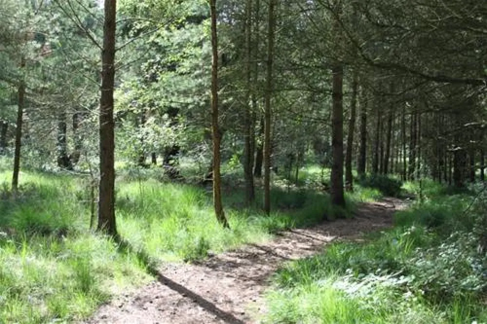 Ladycross Plantation Caravan Park