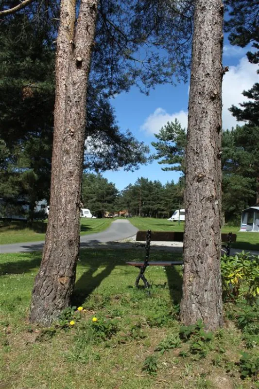 Ladycross Plantation Caravan Park