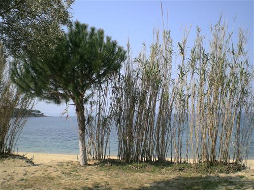 Campsite Stavros photo 3