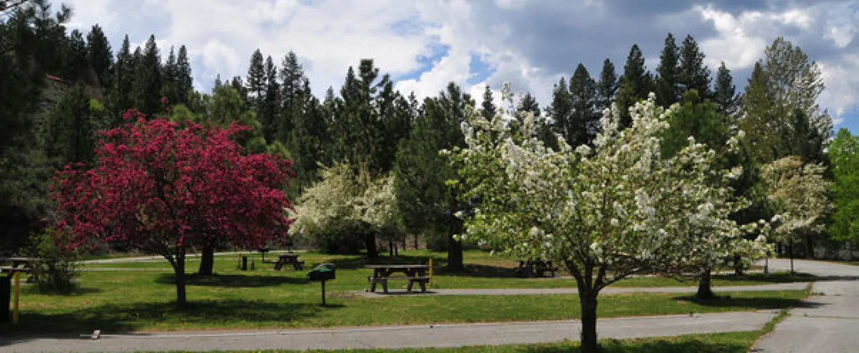 Truckee River RV Park