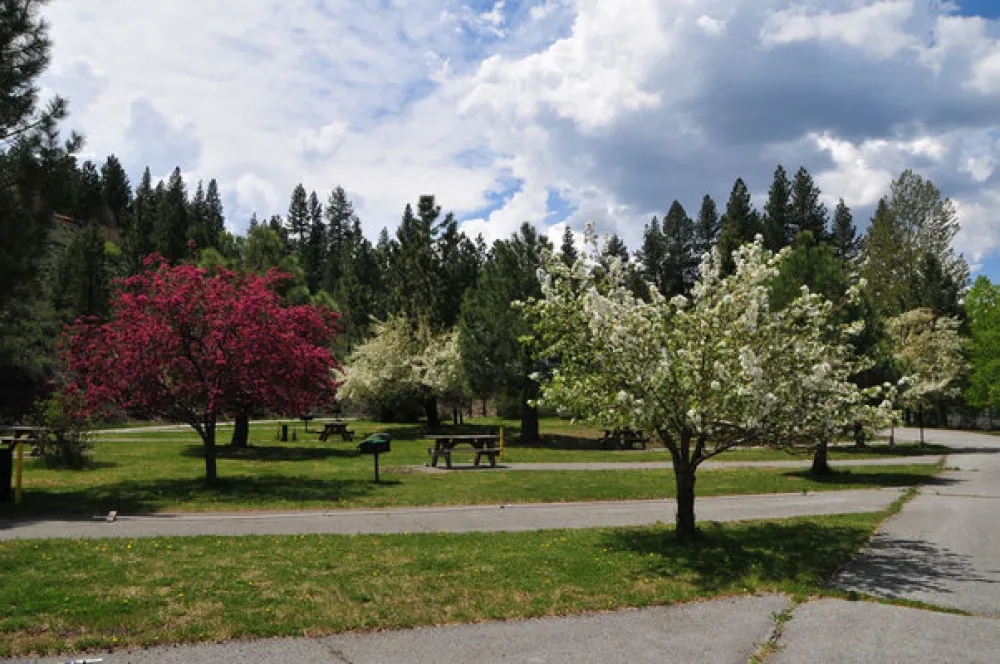 Truckee River RV Park