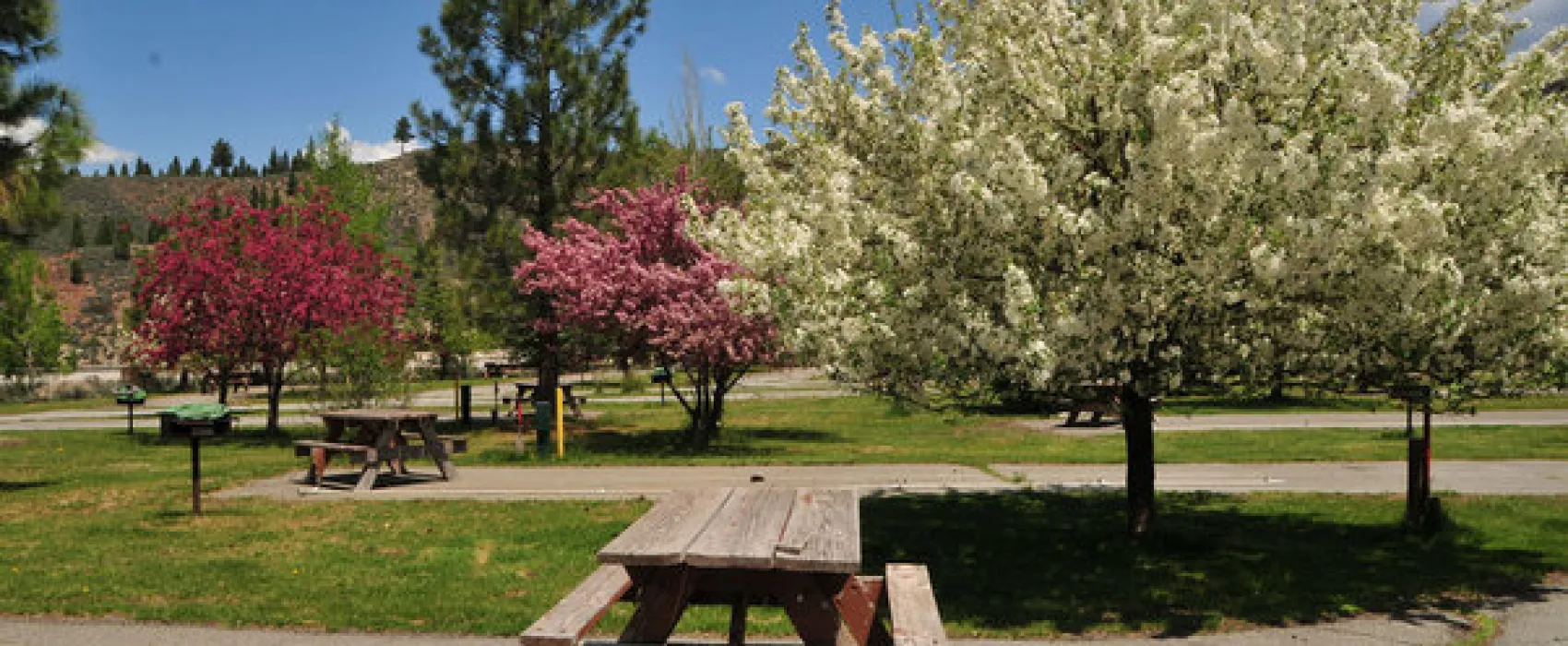 Truckee River RV Park