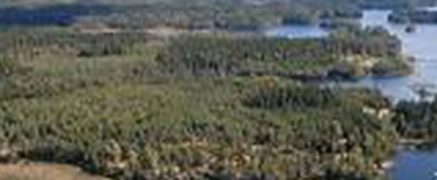 Hätteboda Vildmarkscamping  VM