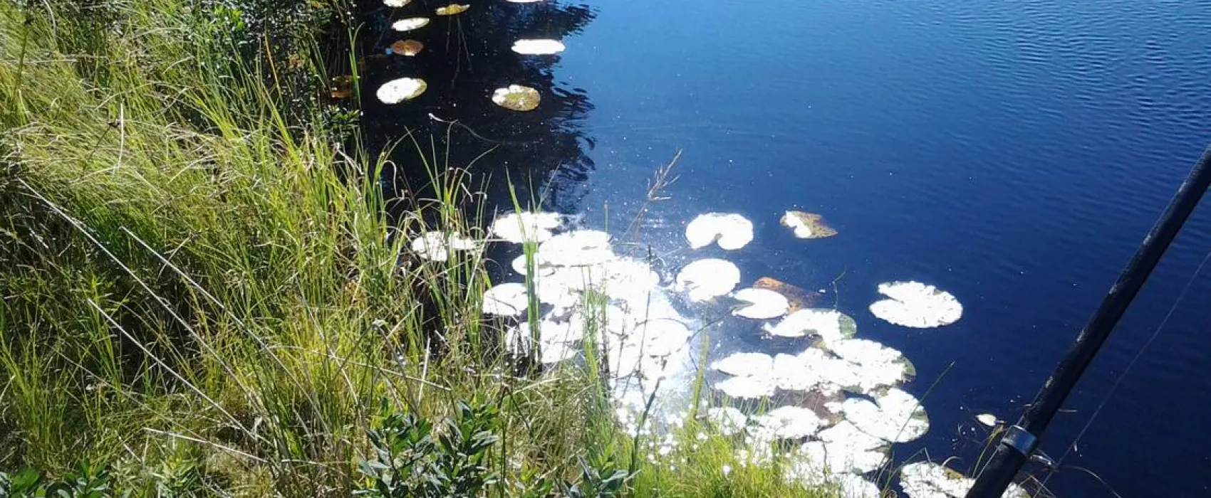 Hätteboda Vildmarkscamping  VM