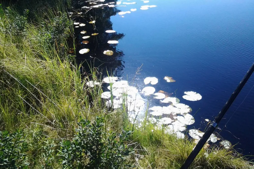 Hätteboda Vildmarkscamping  VM