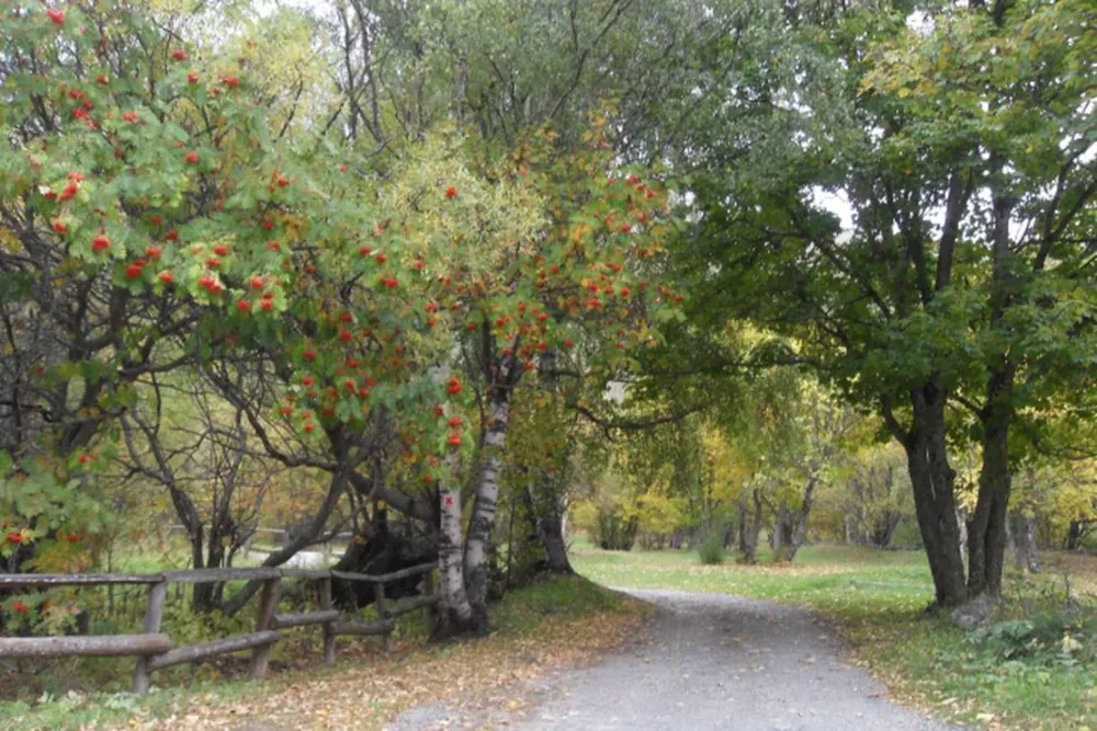 Camping Municipal D'Arsine