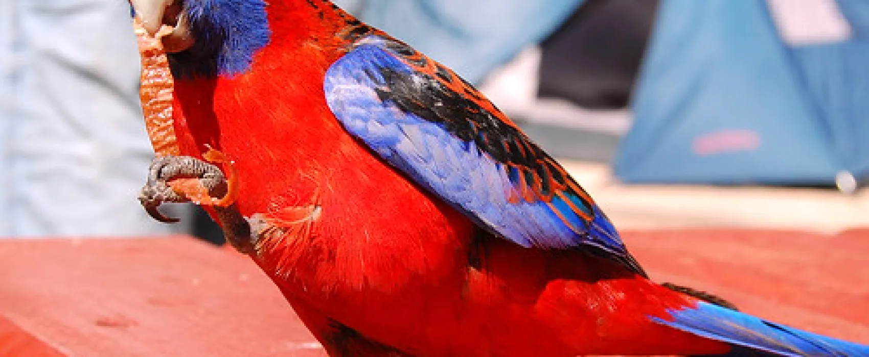 Borough Huts Campground