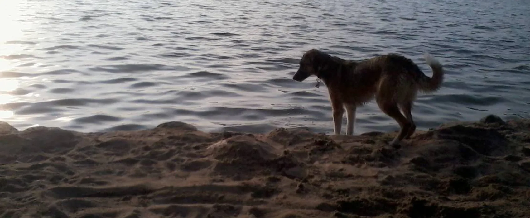 Camping Margarethenhöhe