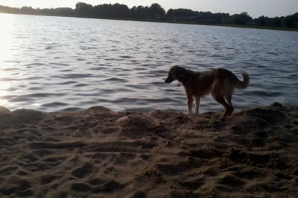 Camping Margarethenhöhe