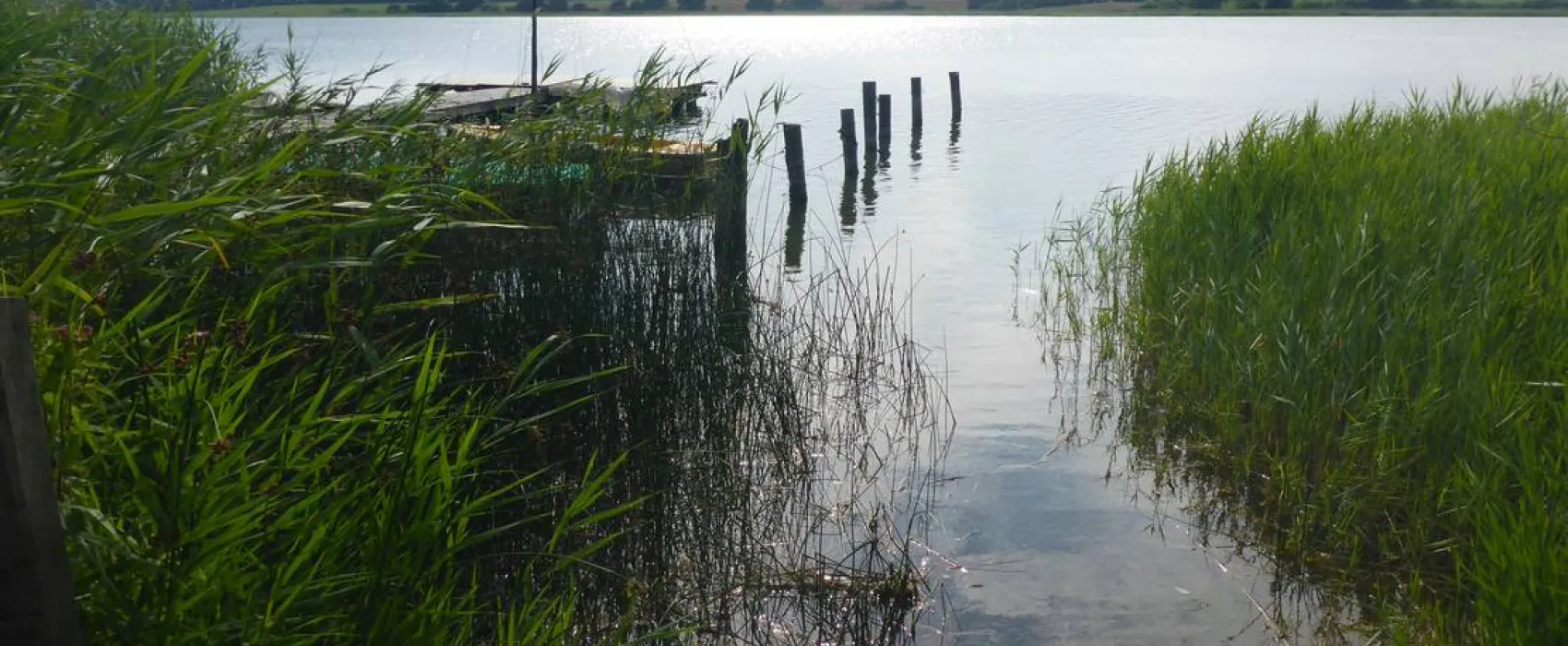 Camping Margarethenhöhe
