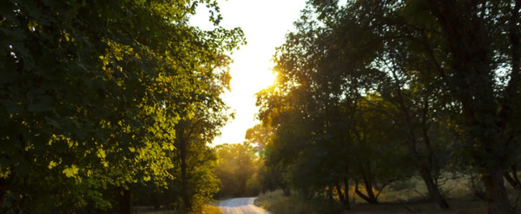 High Creek Campground
