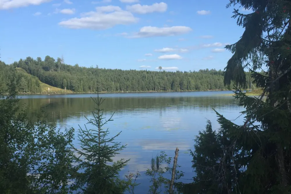 Sandvikens Naturistcamping