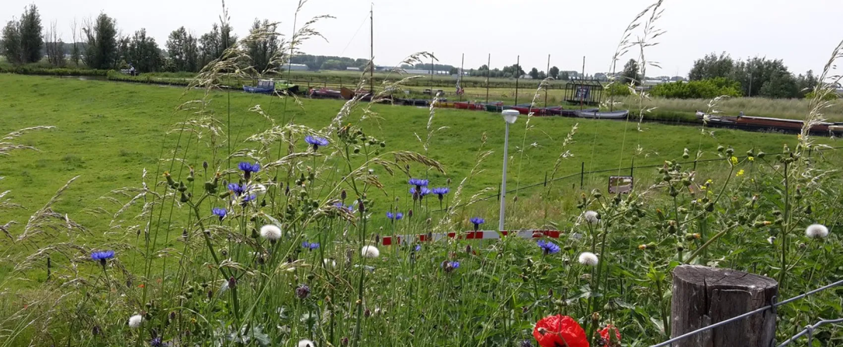 Minicamping Zwetzone