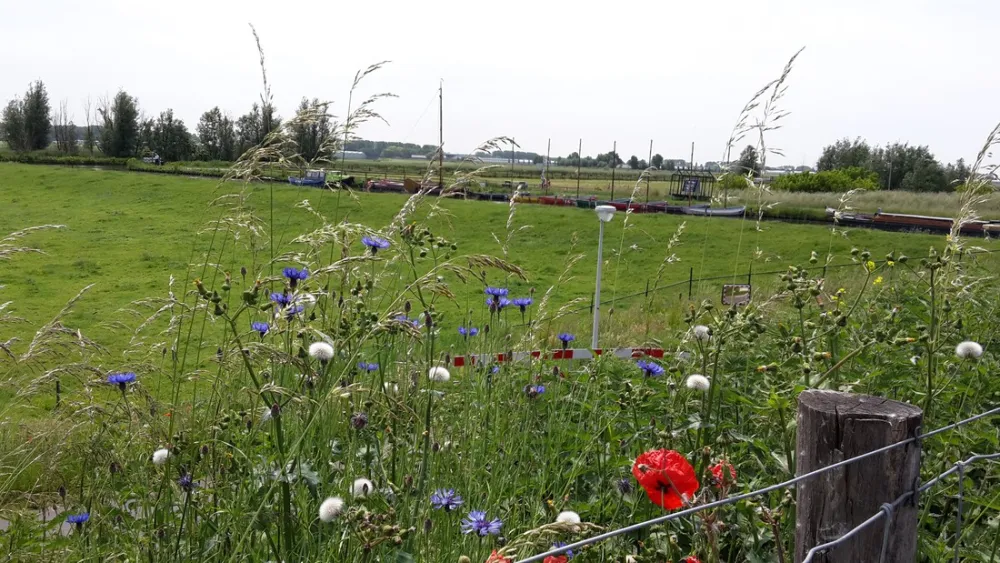 Minicamping Zwetzone