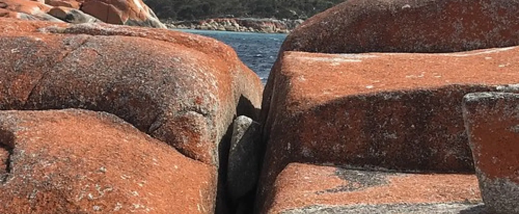 Swimcart Beach Campground