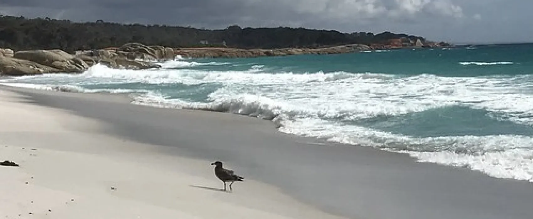 Swimcart Beach Campground