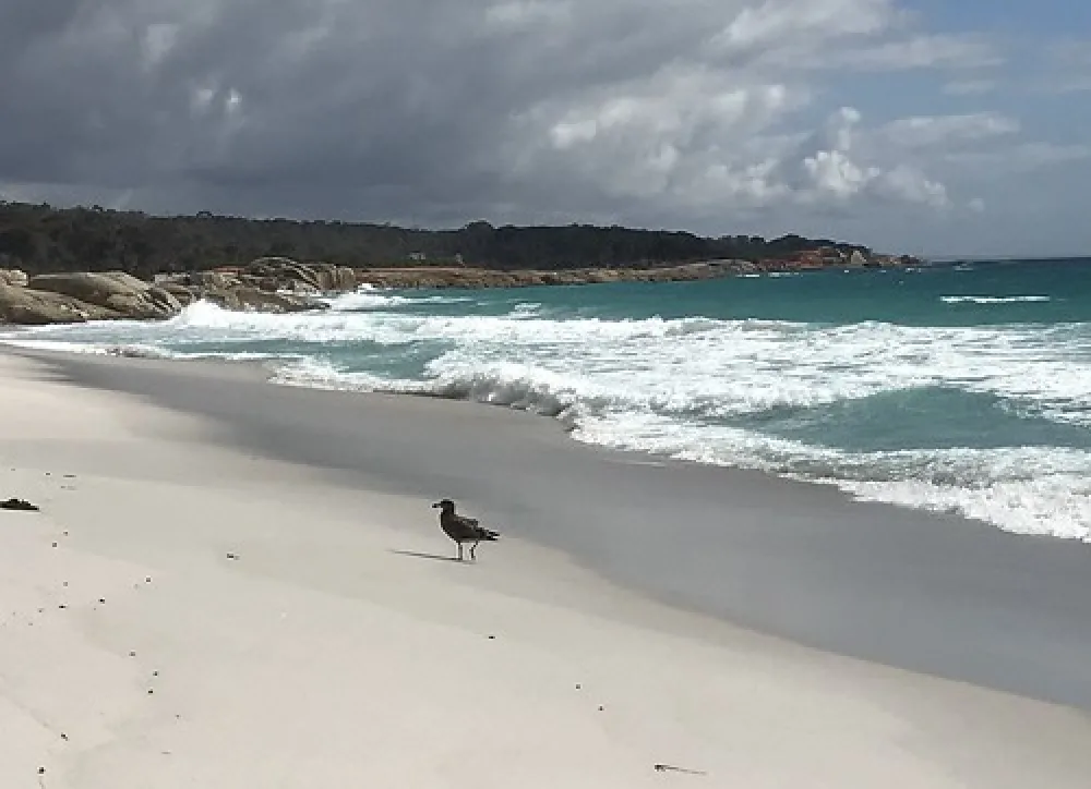 Swimcart Beach Campground