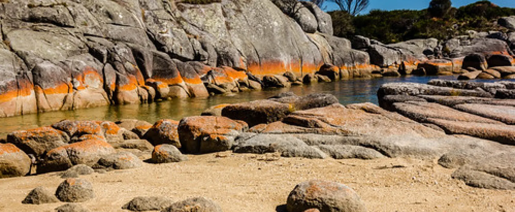 Swimcart Beach Campground