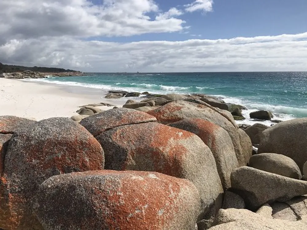 Swimcart Beach Campground