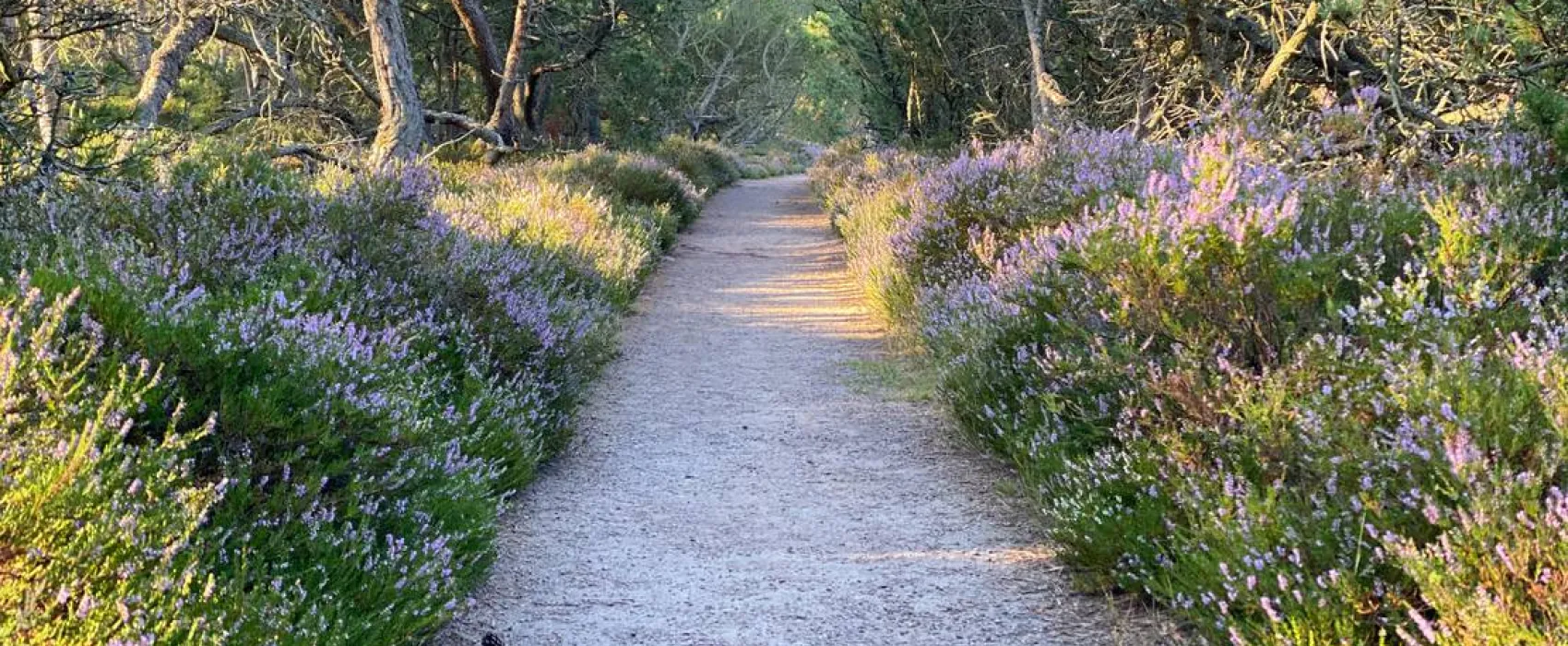 Mellbystrands Camping