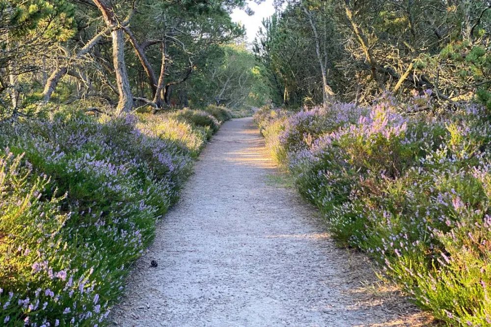 Mellbystrands Camping