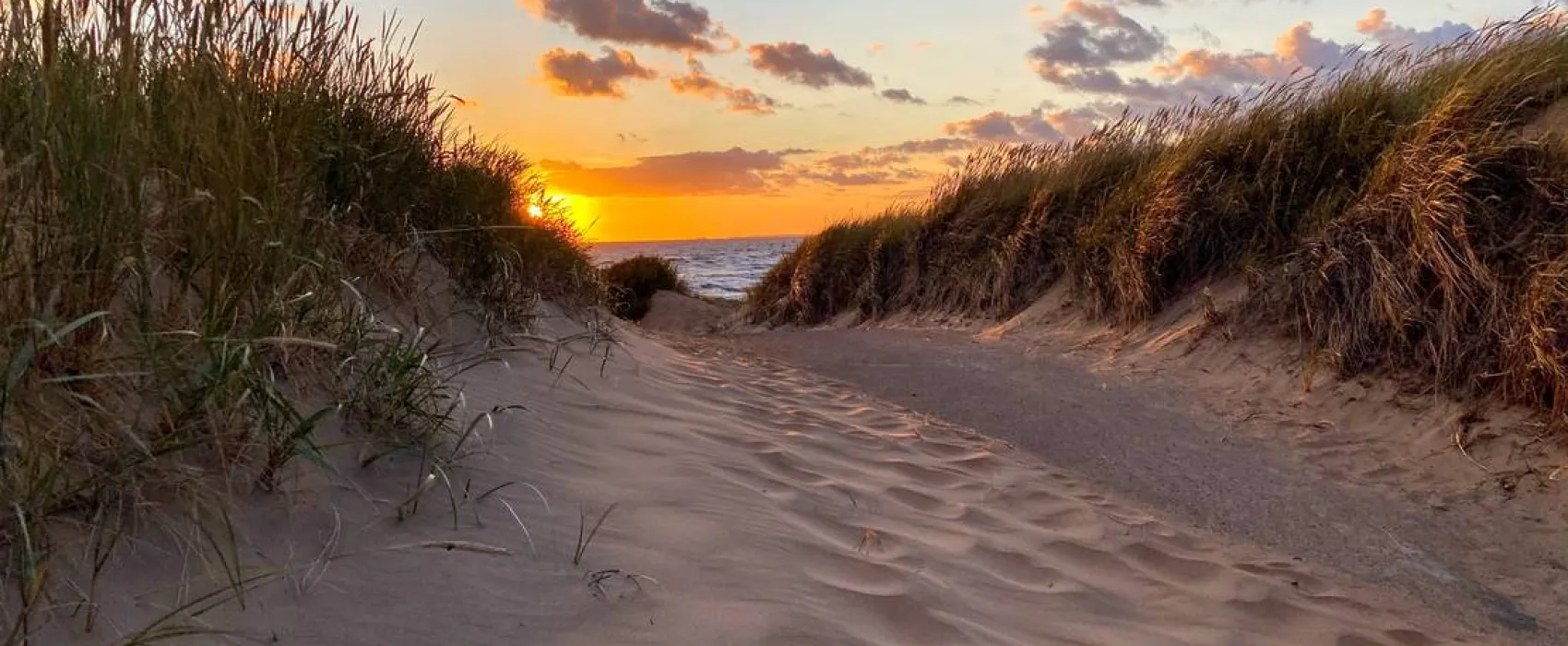 Mellbystrands Camping