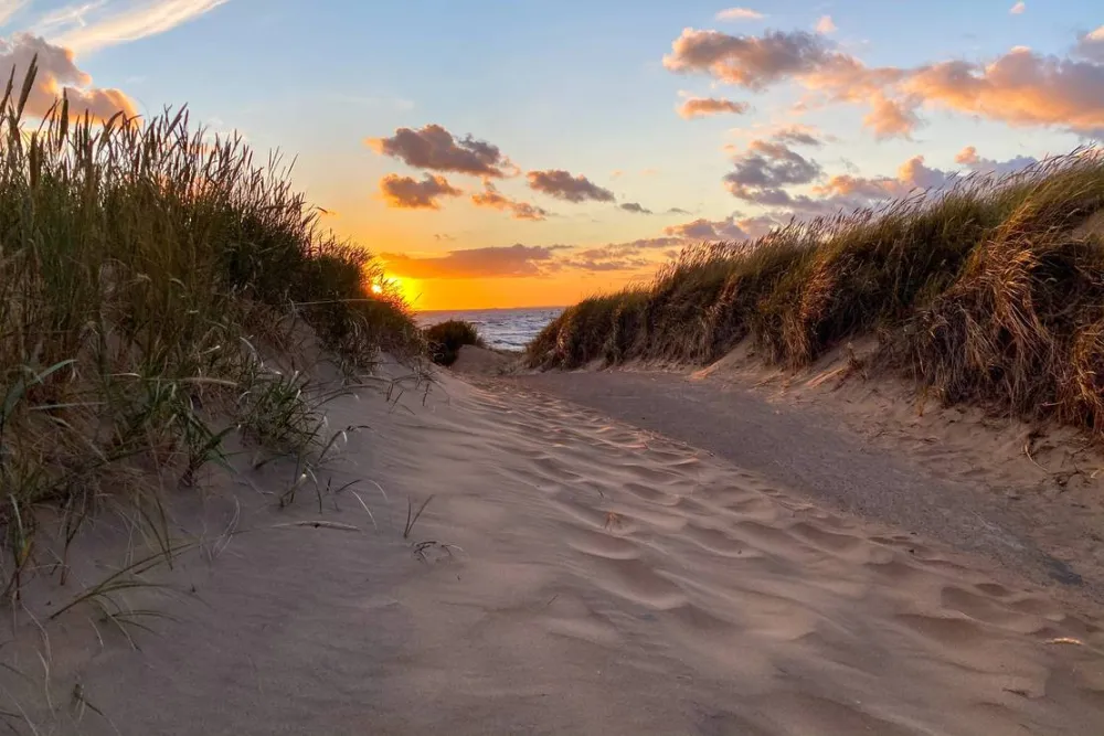 Mellbystrands Camping