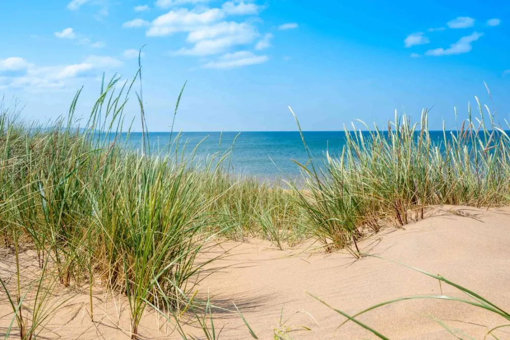 Mellbystrands Camping