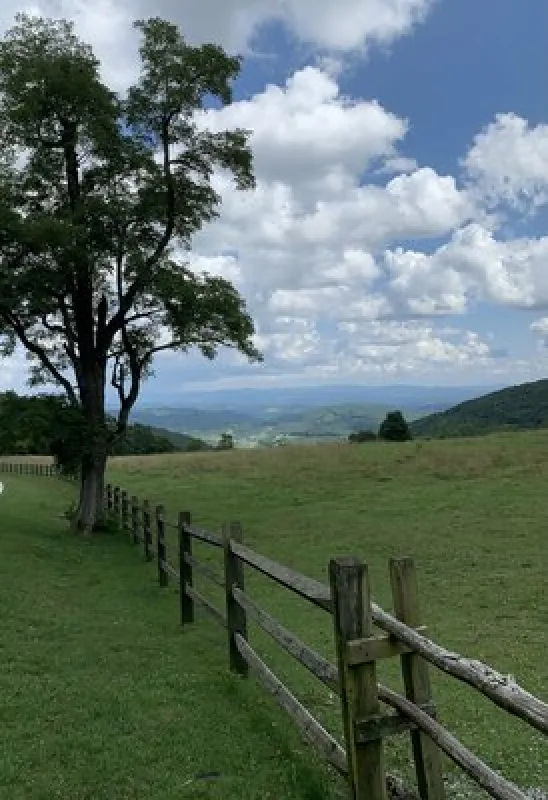 Rocky Hollow Horse Camp