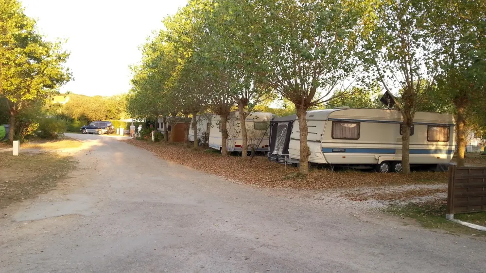 Camping Municipal De La Source