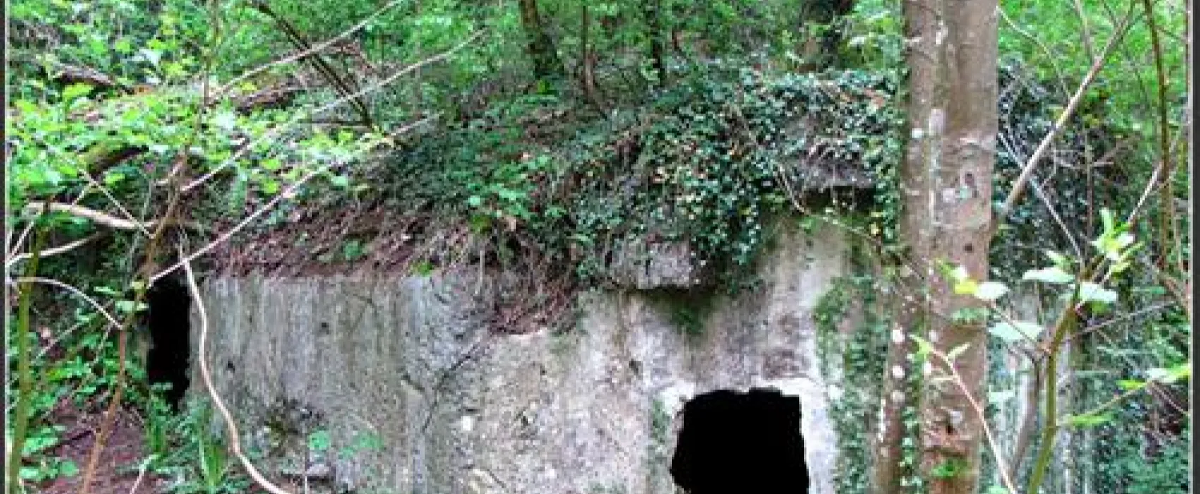 Camping Moulin de la Falize