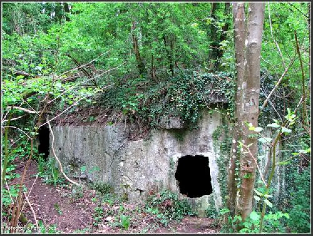 Camping Moulin de la Falize