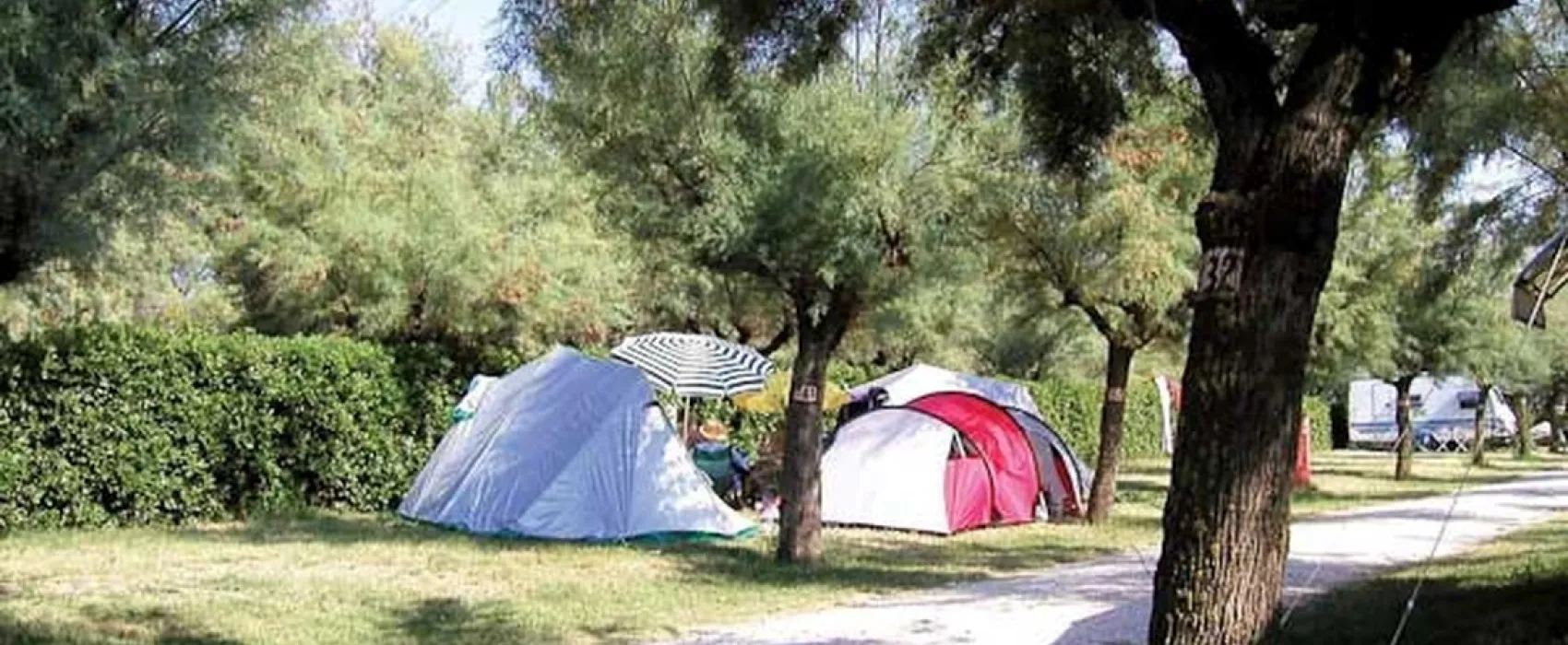 Campeggio La Risacca