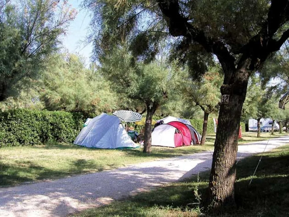 Campeggio La Risacca