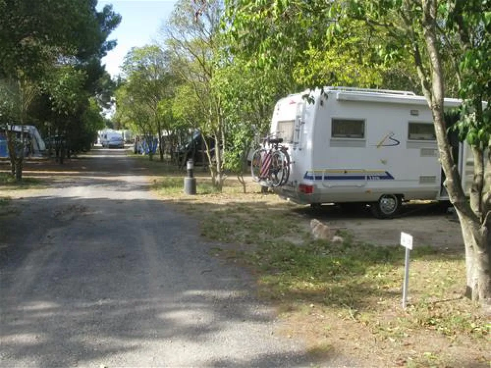 Camping Municipal