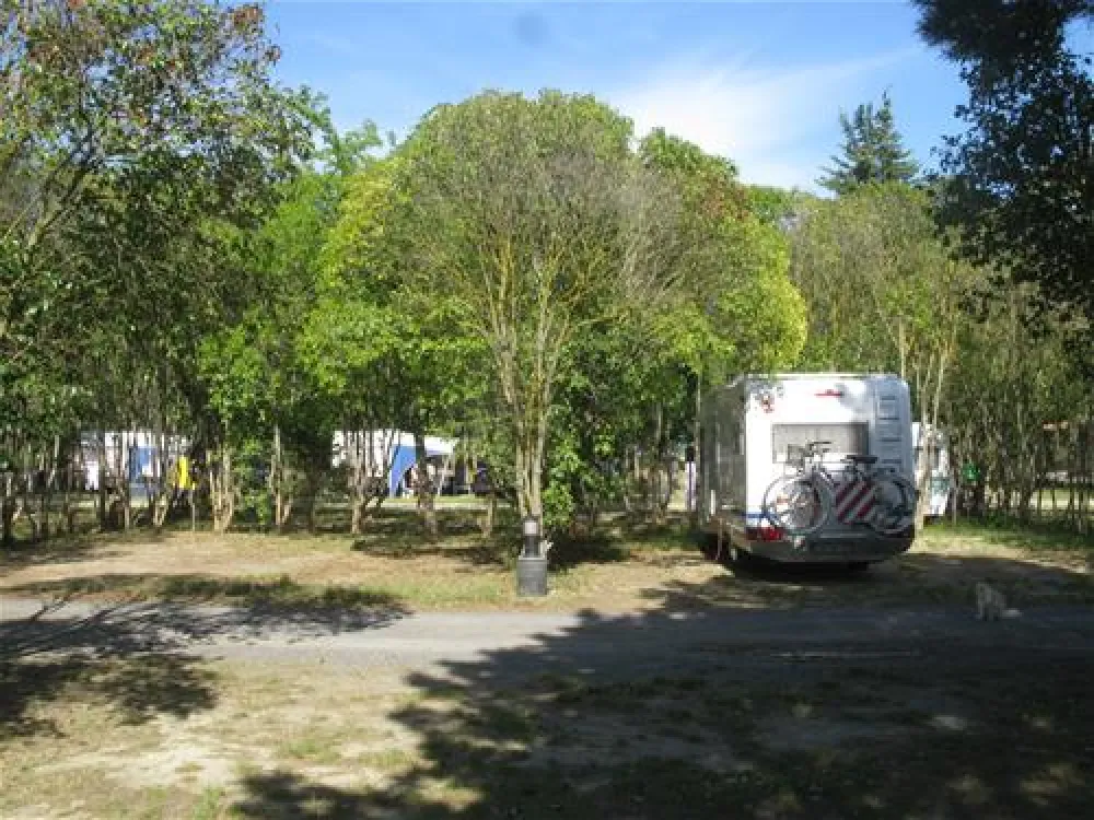 Camping Municipal