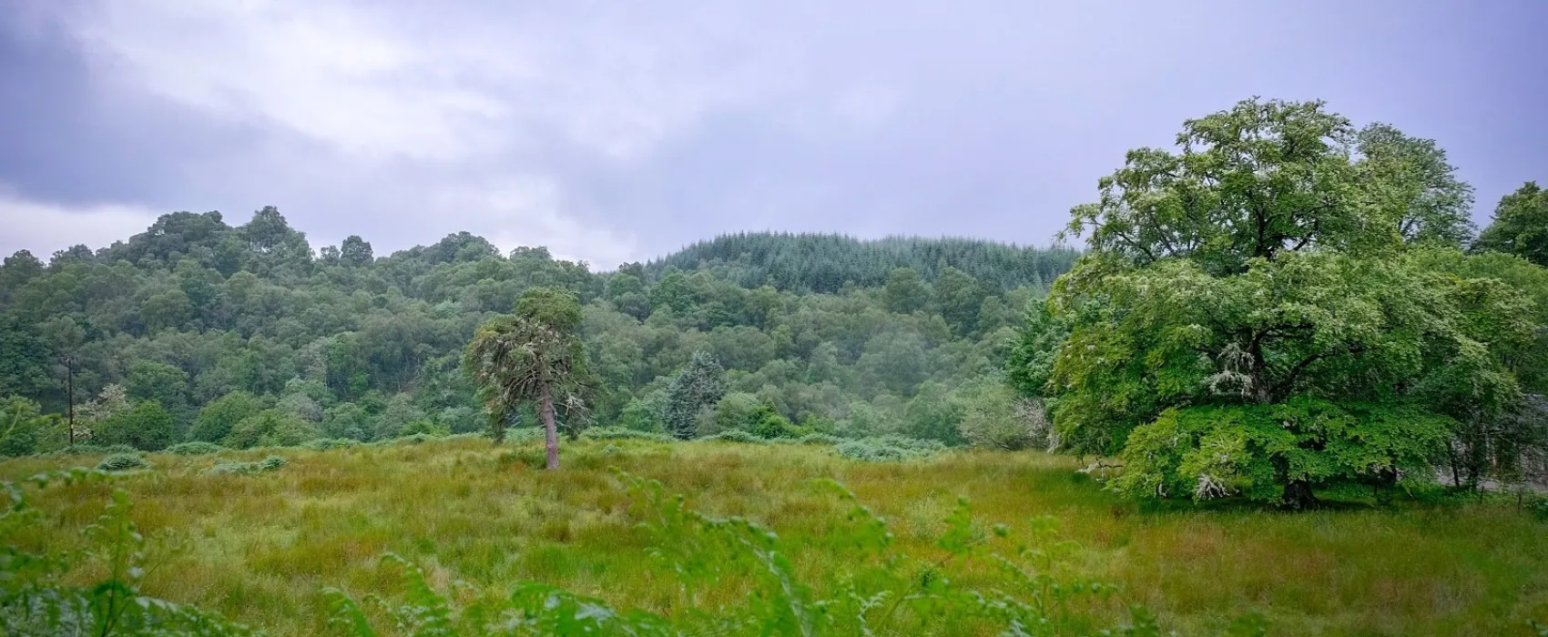 Gairlochy Holiday Park