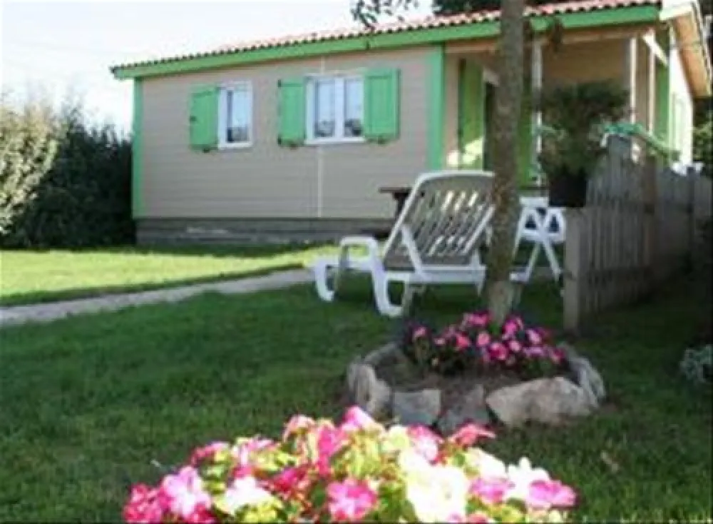 Flower Camping Utah-beach  