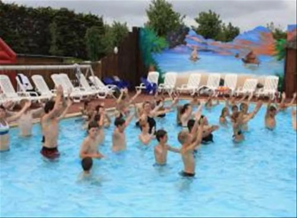 Flower Camping Utah-beach  