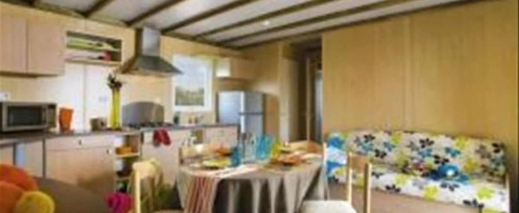 Flower Camping Utah-beach  