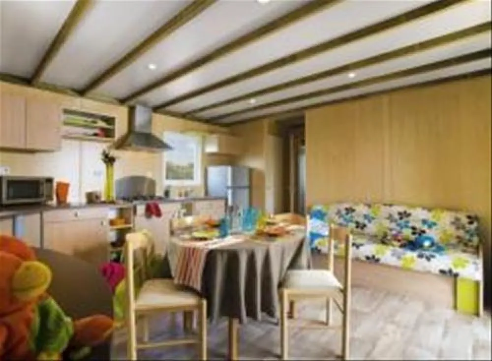 Flower Camping Utah-beach  