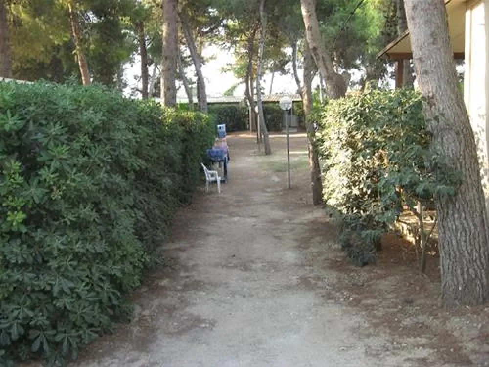 Campeggio Mulino D`acqua