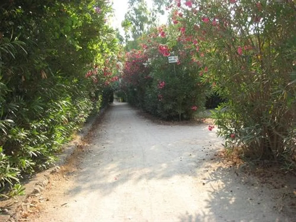 Campeggio Mulino D`acqua